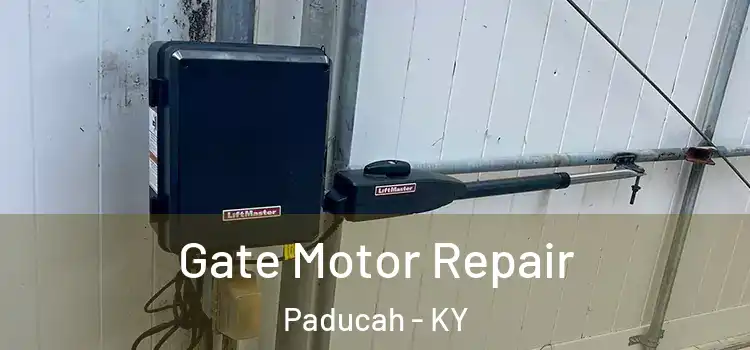 Gate Motor Repair Paducah - KY